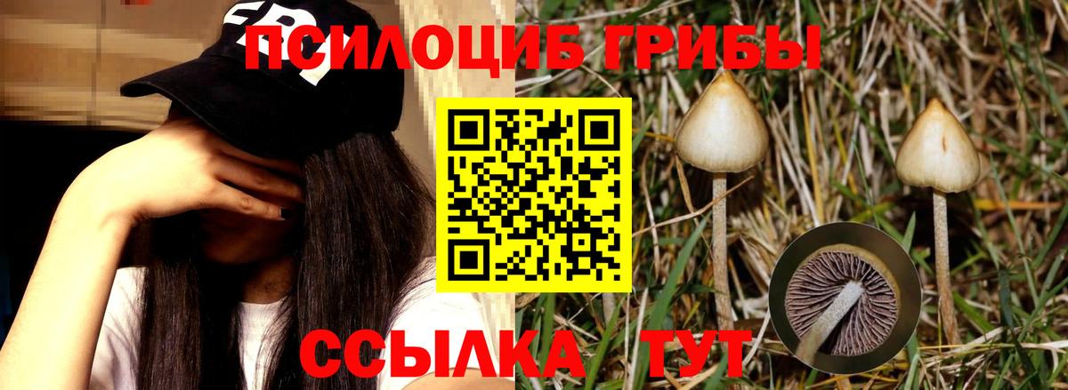 Галлюциногенные грибы Magic Shrooms Севастополь