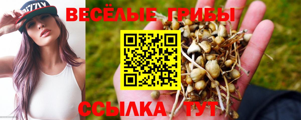 Псилоцибиновые грибы MAGIC MUSHROOMS  Вход с VPN  Севастополь 