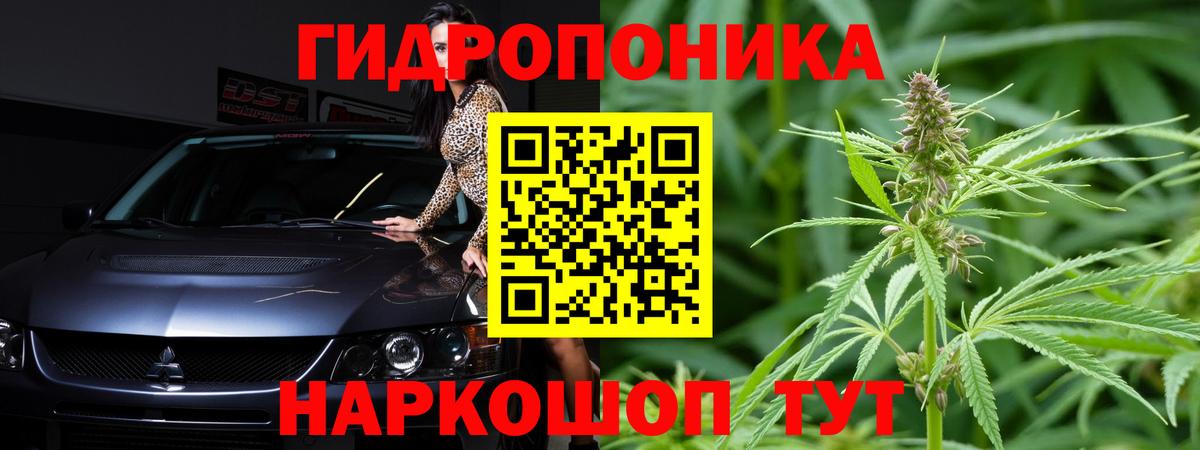МАРИХУАНА сатива  Вход с VPN  Канабис OG Kush  Севастополь  Канабис Bruce Banner 